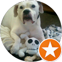 Salvatore Cina profile picture